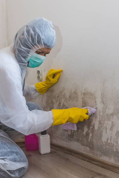 Best Real Estate Mold Inspection  in Geronimo, OK