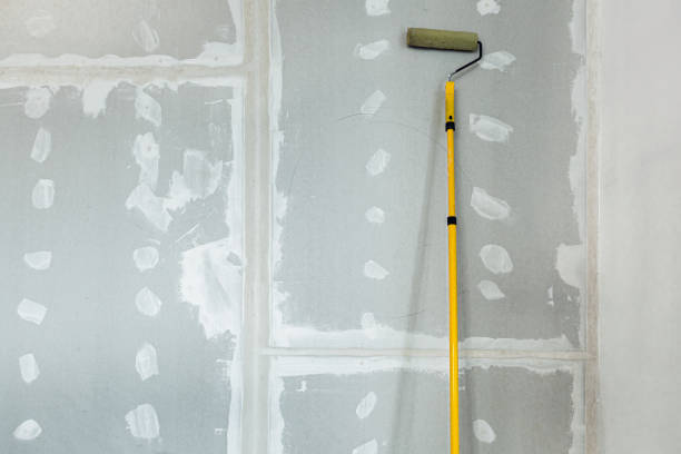 Best Asbestos and Lead Testing During Mold Inspection  in Geronimo, OK