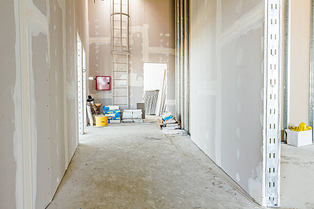 Best Commercial Mold Inspection  in Geronimo, OK
