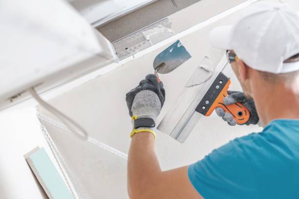 Best Residential Mold Inspection & Testing  in Geronimo, OK